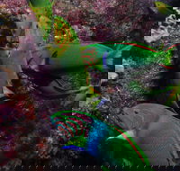 Sunshine Reef - Accommodation BNB