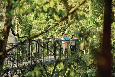 Tamborine Mountain - Accommodation BNB 0