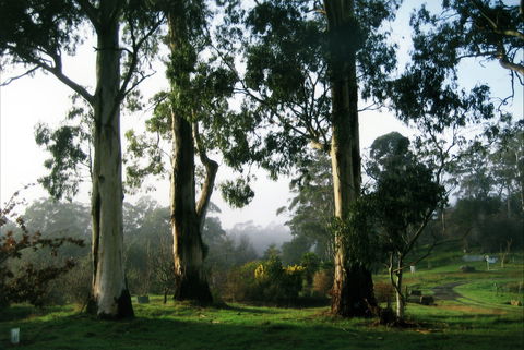 Tasmanian Arboretum Inc. - The - Accommodation BNB 1