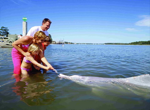 Tourist Drive- Cooloola Coast Fraser Island - Accommodation BNB 2