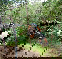 TreeTop Challenge - Accommodation BNB