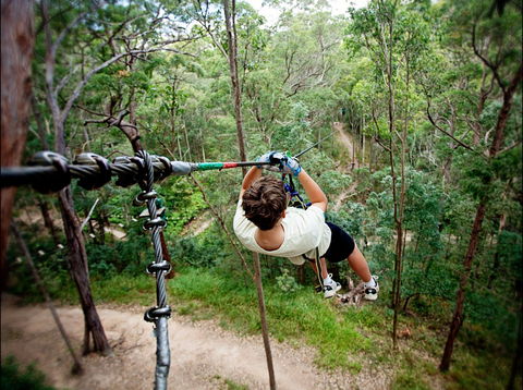 TreeTop Challenge - Accommodation BNB 0