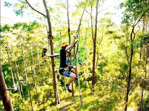 TreeTop Challenge - Accommodation BNB 1