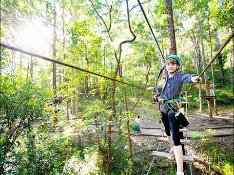 TreeTop Challenge - Accommodation BNB 2