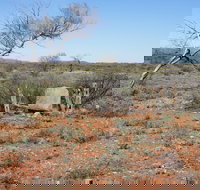 Winnecke Goldfield Cemetery - Accommodation BNB