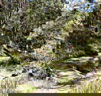 Wollomombi Walking Track - Accommodation BNB