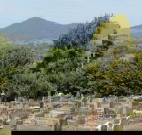 Yackandandah Cemetery - Accommodation BNB