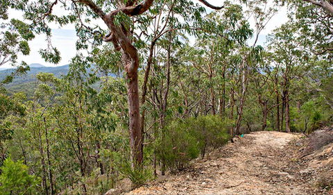 Yango Walking Track - Accommodation BNB 0