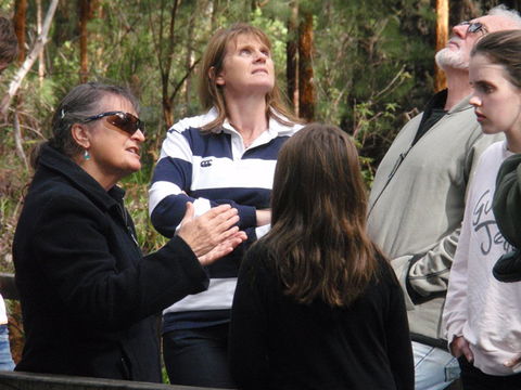 Ancient Empire Walk, Valley Of The Giants - Accommodation BNB 1