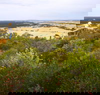 Archer Drive Scenic Drive and Lookout - Accommodation BNB