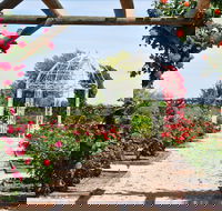 Australian Inland Botanic Gardens - Accommodation BNB