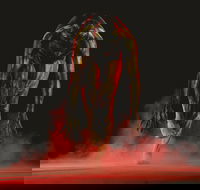 Bangarra Dance Theatre - Accommodation BNB