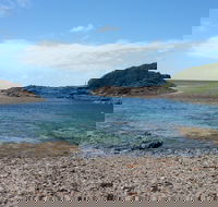 Bass Point Reserve - Accommodation BNB