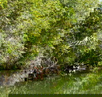 Berry Springs Nature Park - Accommodation BNB