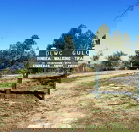 Bindea Walking Track - Accommodation BNB