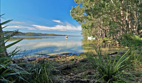 Black Oaks Picnic Area - Accommodation BNB 0