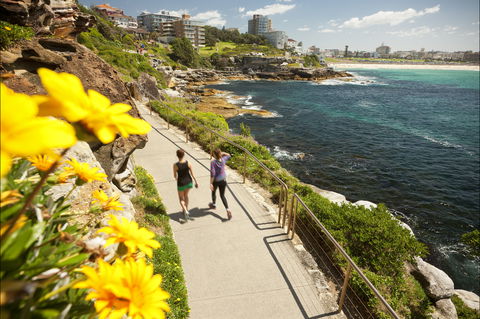 Bondi To Coogee Coastal Walk - Accommodation BNB 2