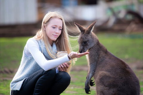 Bonorong Wildlife Sanctuary - Accommodation BNB 1