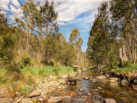 Brindabella National Park - Accommodation BNB 2