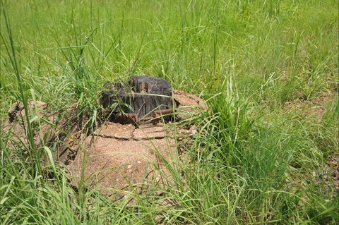 Brocks Creek Chinatown And Temple Site - Accommodation BNB 0