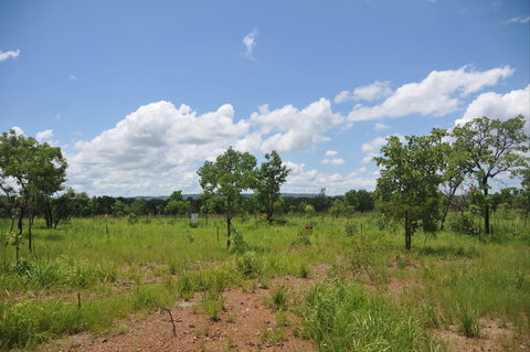 Brocks Creek Chinatown And Temple Site - Accommodation BNB 1