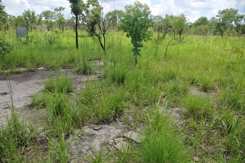 Brocks Creek Chinatown And Temple Site - Accommodation BNB 2
