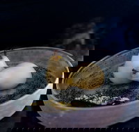 Bronwyn Clarke Ceramics - Accommodation BNB