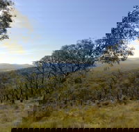 Bunyip State Park - Accommodation BNB