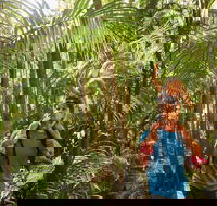 Canungra - Accommodation BNB