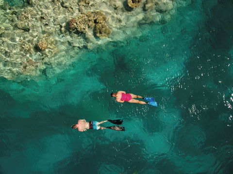 Capricornia Cays National Park - Accommodation BNB 1
