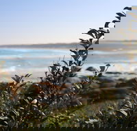 Cape Conran Coastal Park - Accommodation BNB