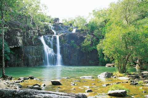 Cedar Creek Falls - Accommodation BNB 0