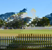 Cootamundra Cricketing Exploration - Accommodation BNB