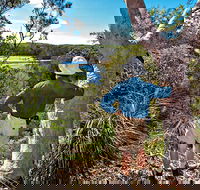 Corkwood and Scribbly Gum Walking Track - Accommodation BNB