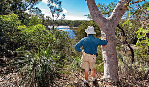 Corkwood And Scribbly Gum Walking Track - Accommodation BNB 0