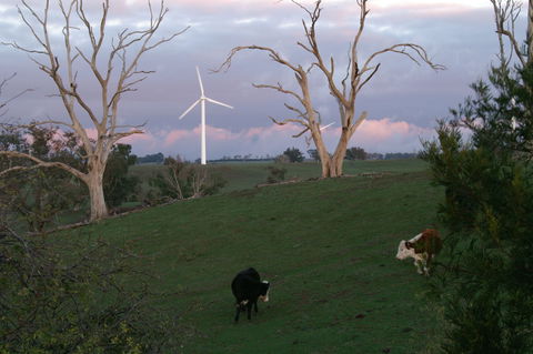 Crookwell Wind Farm - Accommodation BNB 1