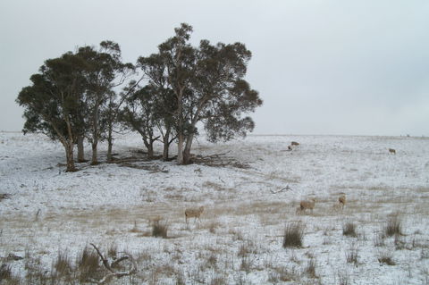 Crookwell Wind Farm - Accommodation BNB 2
