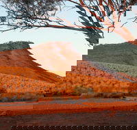 Dutchman Stern Conservation Park Trail - Accommodation BNB