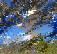 Euroa Arboretum - Accommodation BNB