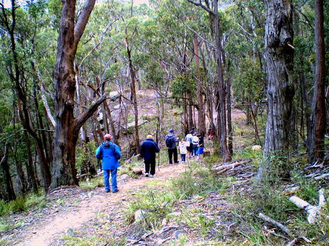 Greater Blue Mountains Heritage Trail - Accommodation BNB 2