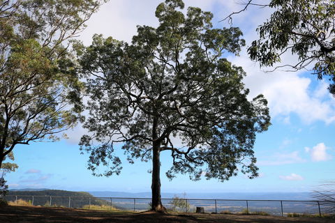 Heaton State Forest - Watagan Mountains - Accommodation BNB 2