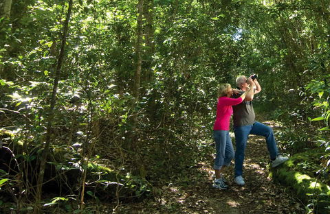 Iluka Rainforest Walking Track - Accommodation BNB 0