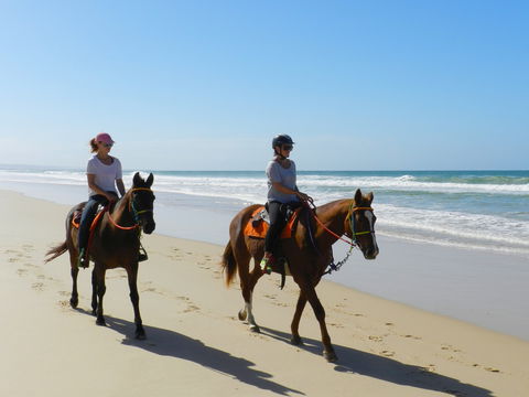 Inskip Peninsula Recreation Area - Accommodation BNB 2