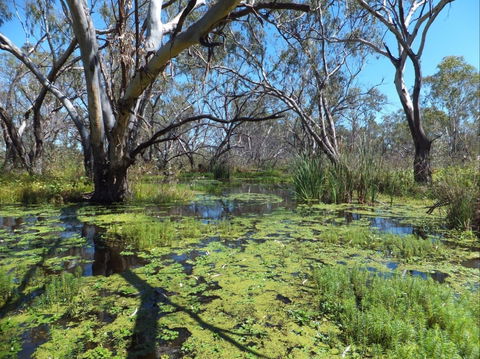 Macquarie Valley Trails - Accommodation BNB 0