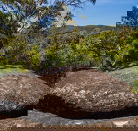 Marramarra Ridge to Smugglers Ridge walking track - Accommodation BNB