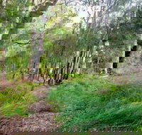 Meroo Lake walking track - Accommodation BNB