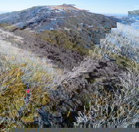 Mt Buller Bike Park - Accommodation BNB