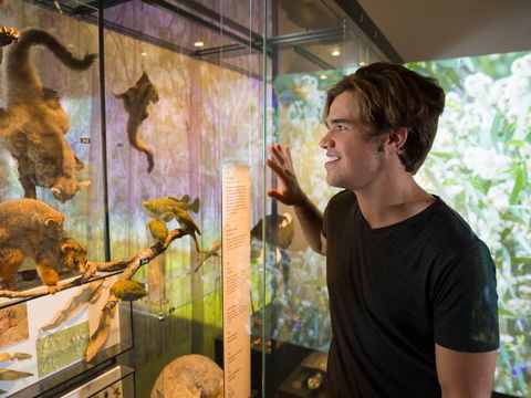 Queensland Museum - Accommodation BNB 0