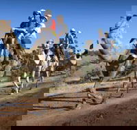 Quorn - Accommodation BNB