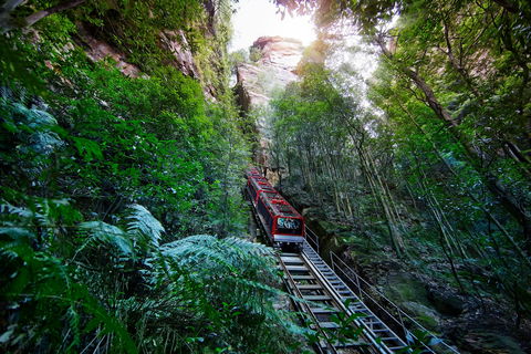 Scenic World Blue Mountains - Accommodation BNB 0